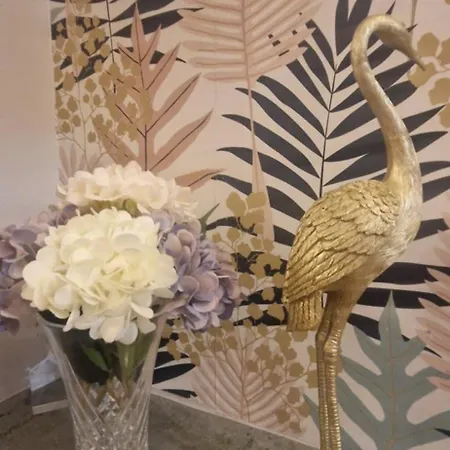 Sun's House * エリセイラ